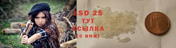 стафф Аркадак