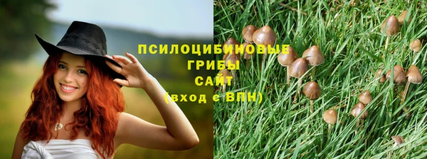 герыч Арсеньев