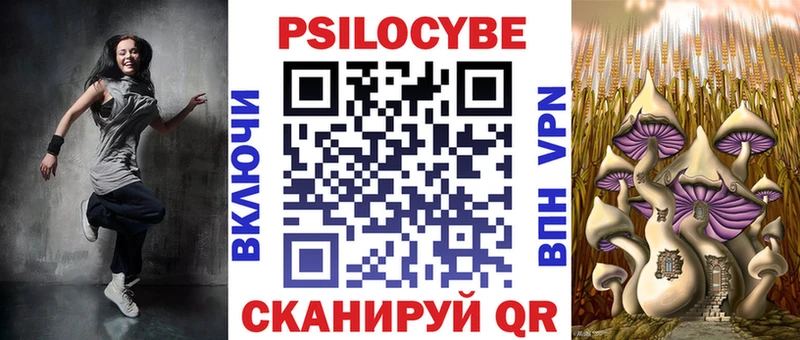 Галлюциногенные грибы ЛСД  закладки  Камбарка 
